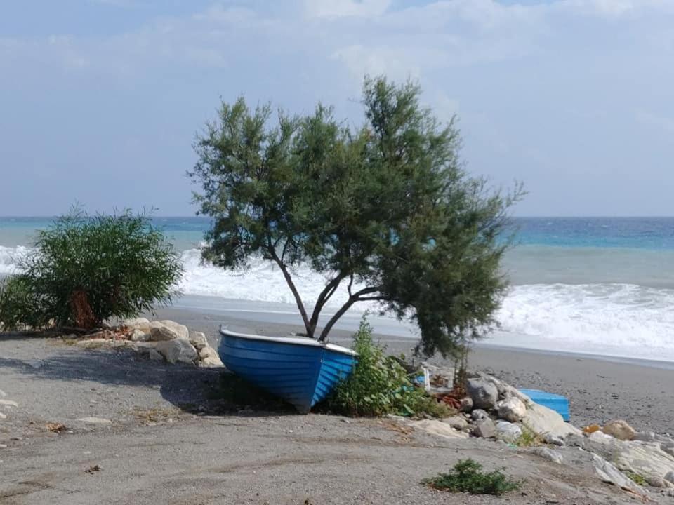 B&B Nereidi Melito Di Porto Salvo Extérieur photo